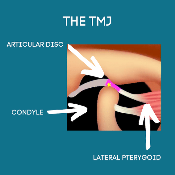 TMJ Illustration